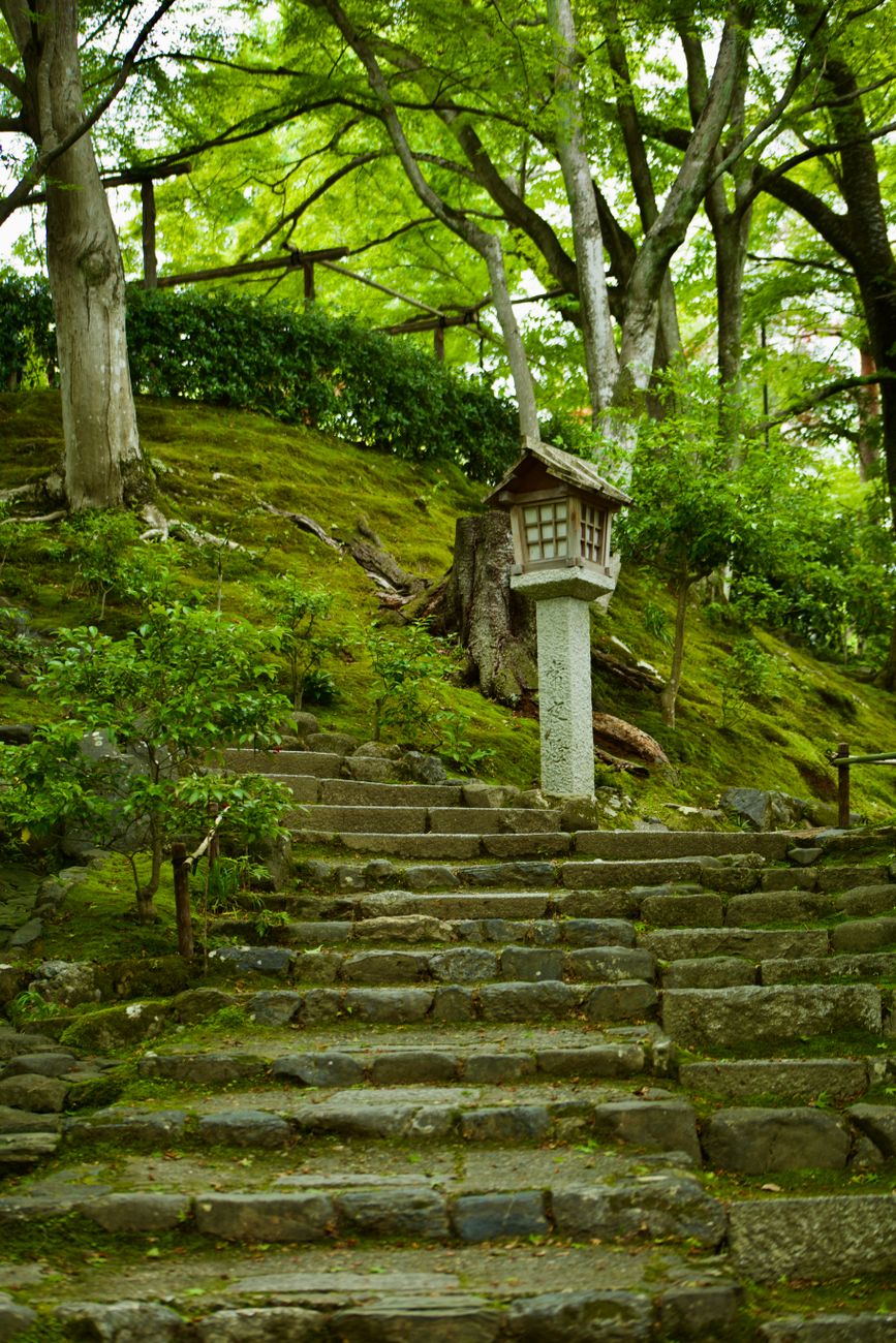 静かな日本庭園